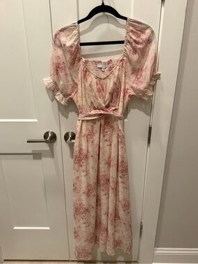 Hayden LA Cream and Dusty Rose Floral Toile Maxi Dress